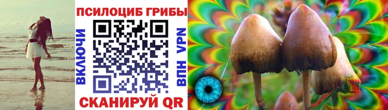 Галлюциногенные грибы ЛСД blacksprut сайт Боровск